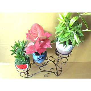 Gía đỡ chậu hoa mini