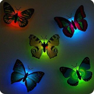 Bướm Led Xả Kho
