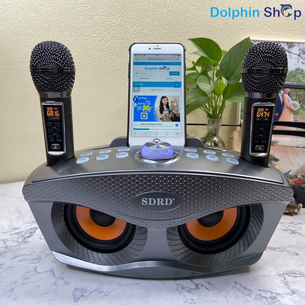Loa Karaoke SD 306 Plus / SD 306 Tặng Kèm 2 Micro Không Dây - Hàng Loại 1