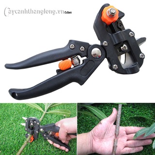 Kéo cắt ghép cây