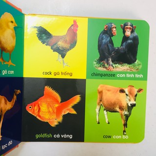Sách – 101 First Words - 101 Từ Đầu Tiên - Combo 6 cuốn