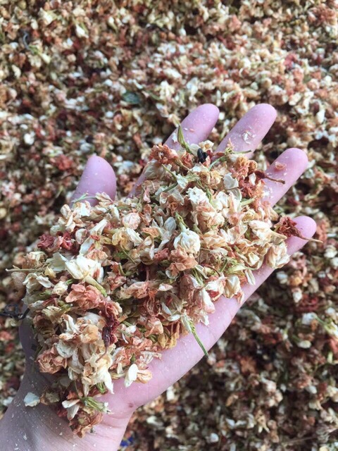 Trà Hoa Nhài  khô 1 kg