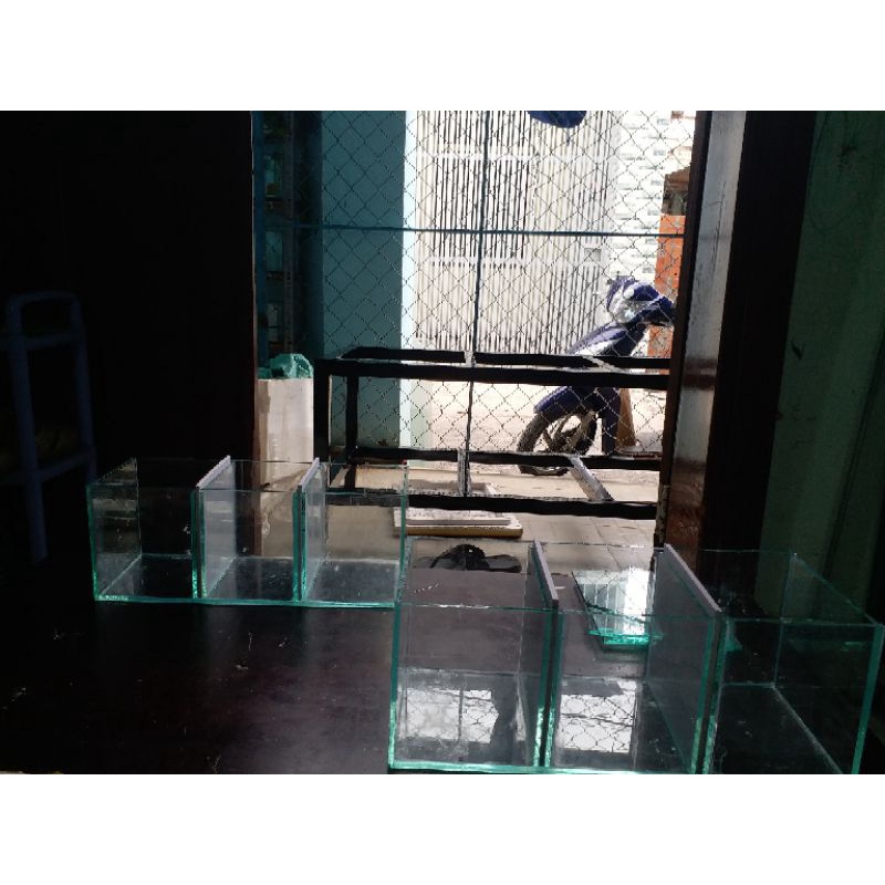 Hồ Cá Betta 03 ngăn