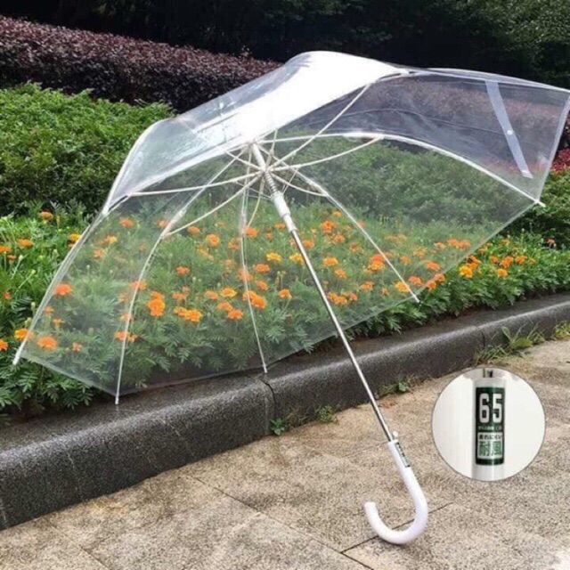 Combo 10 ô trong suốt (sỉ 25k)