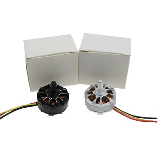 TM Motor 2204-2300kv