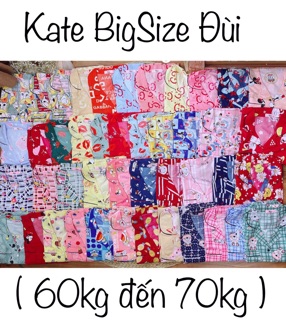(Bigsize Kate) Đồ Bộ Kate Pijama Bigsize Đùi (3)