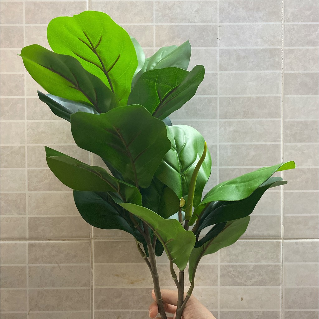 Cây Bàng Singapore Giả 2 Nhánh - Cây Giả Trang Trí Nhà Cửa Lizflower
