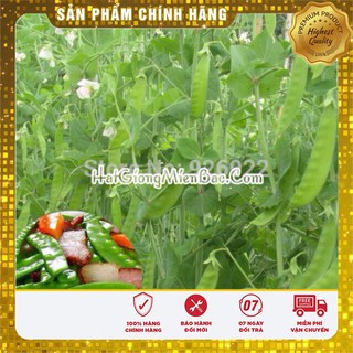 Hạt Giống Đậu Hà Lan(50gr)