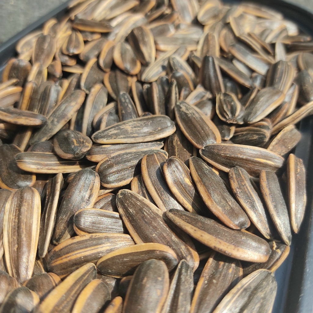 500Gr Hướng Dương Tẩm Vị Dừa