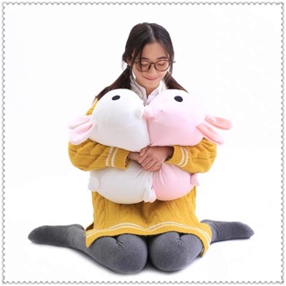 [SẴN HÀNG ] ảnh thật- chăn gối mèo 3in1