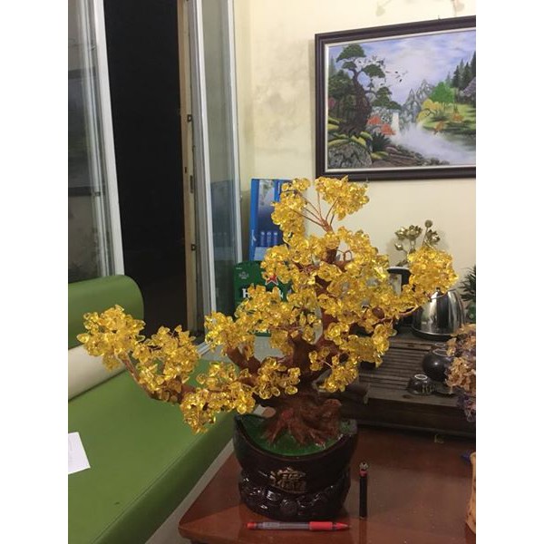 Cây tài lộc đá thạch anh cây phong thủy