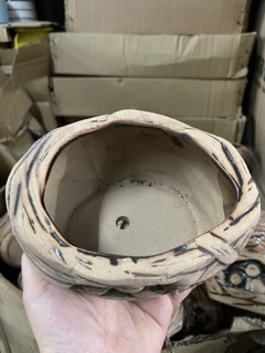CHẬU CÂY TRỒNG TIỂU CẢNH
