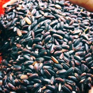 Gạo nếp than| nếp cẩm loại I