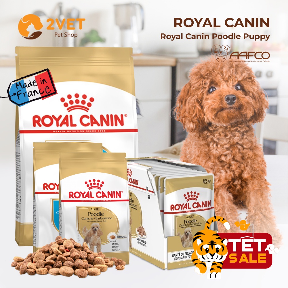 Đồ Ăn Khô Cho Chó POODLE - Royal Canin Poodle Puppy - Adult - Gói 1,5Kg - Thức Ăn Khô Dạng Hạt