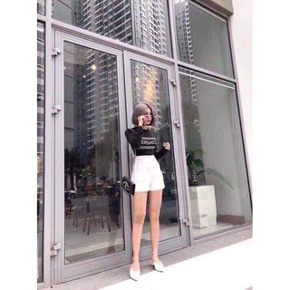 Quần Short nữ Công Sở