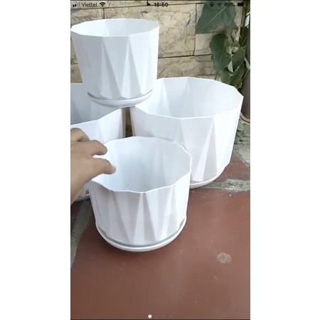 Chậu nhựa múi khế đĩa trồng cây, derco siêu xinh,hàng sẵn kh