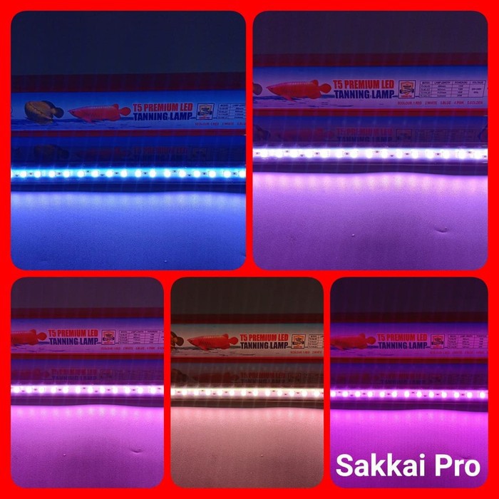 Đèn Led Sakkai Pro T5-58 5 Màu Trang Trí Bể Cá