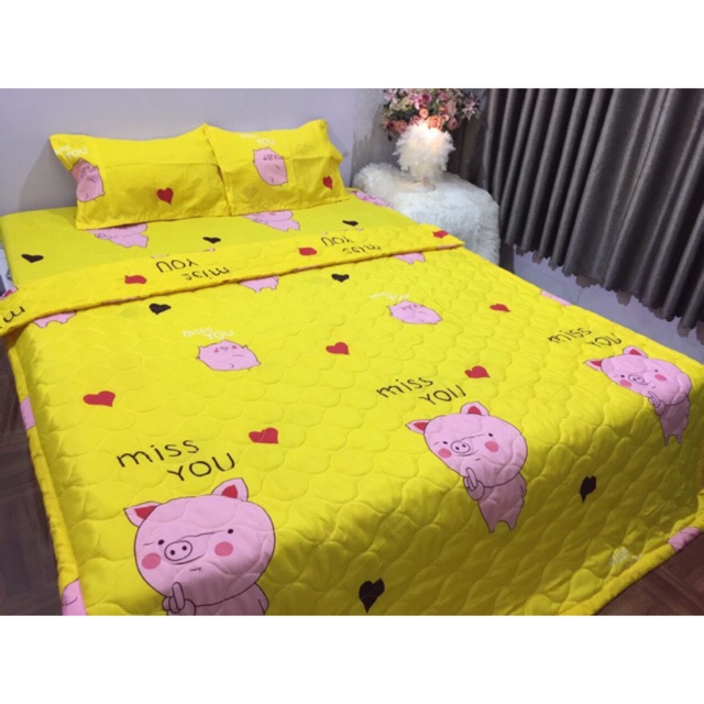 Sét chăn ga gối 5 món m6*2m, m8*2m