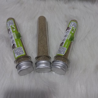Cỏ mèo - Cỏ mèo bạc hà catnip