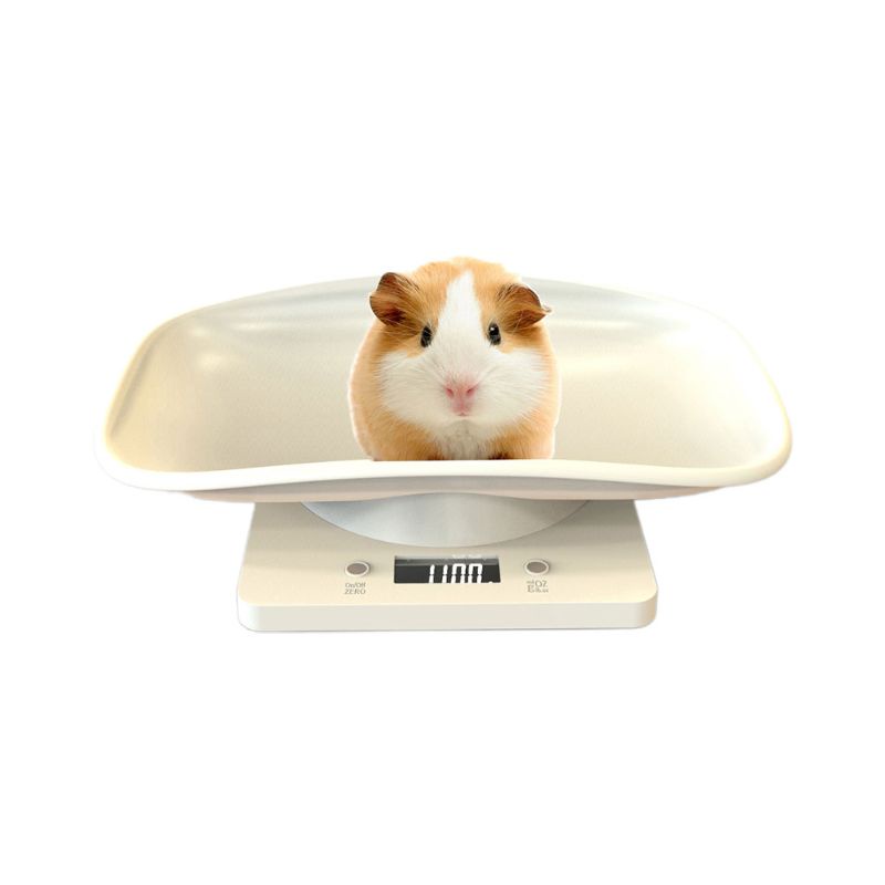 Cân Điện Tử Màn Hình LCD 1G-10Kg KG / LB / OZ Chuyên Dụng Cho Thú Cưng
