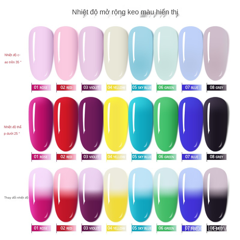 Giá Đỡ Keo Dán Móng Tay Thủy Tinh Trong Suốt 15ML Nhanh Khô Tiện Dụng