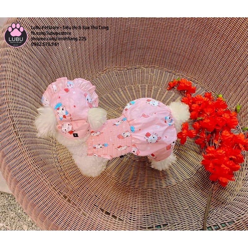 Jum yếm + Nón cho thú cưng