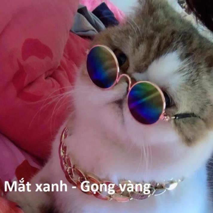 Kính chó mèo gọng vàng kính mát cho thú cưng chống tia UV (One size) hcm