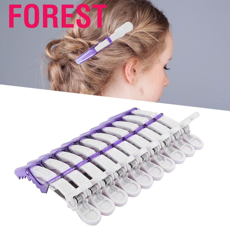 Set 10 kẹp tóc mỏ vịt chuyên dụng dành cho salon