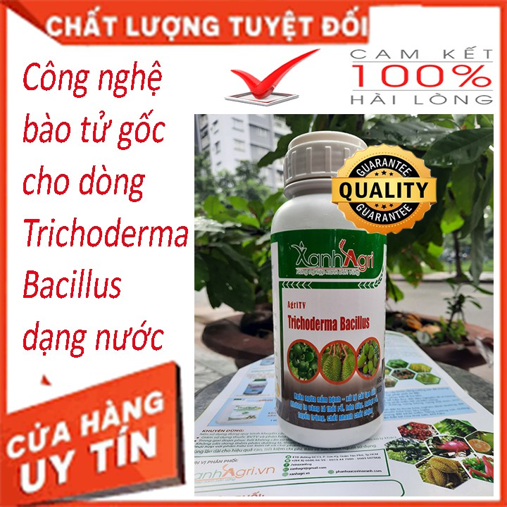 NẤM TRICHODERMA KHẮC TINH VÀNG LÁ THỐI RỄ