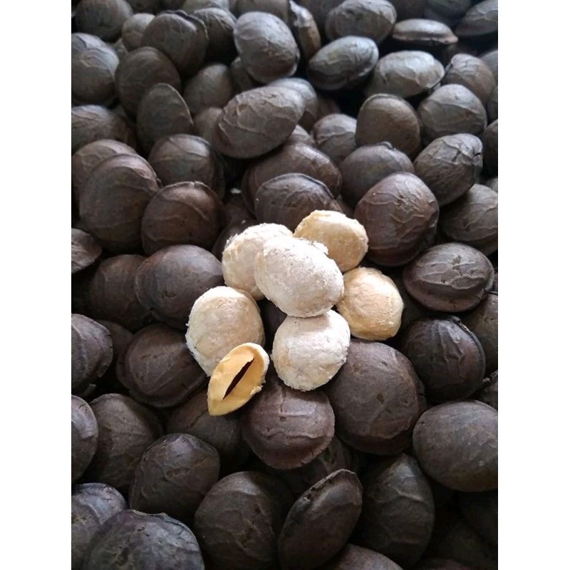 500g Hạt sachi còn vỏ