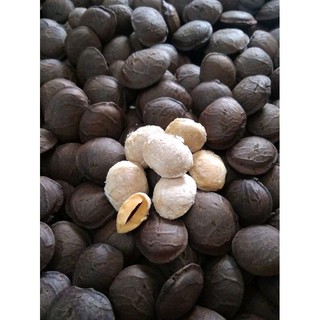 500g Hạt sachi còn vỏ