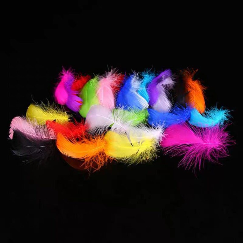 Set 100 Lông Vũ Nhiều Màu Trang Trí Tiệc