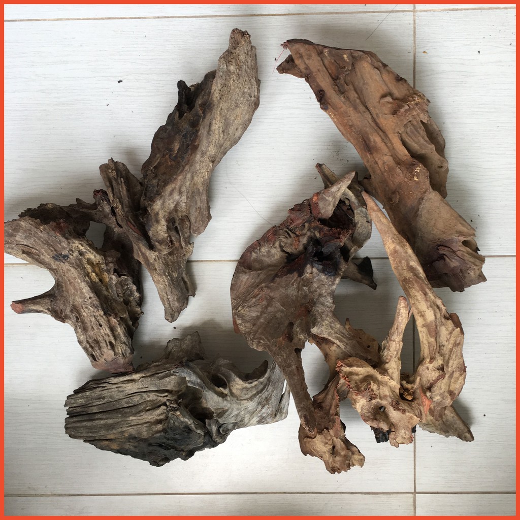 Gỗ lũa thủy sinh, lũa hồ cá, lũa bán cạn, tiểu cảnh cho bể vừa và lớn