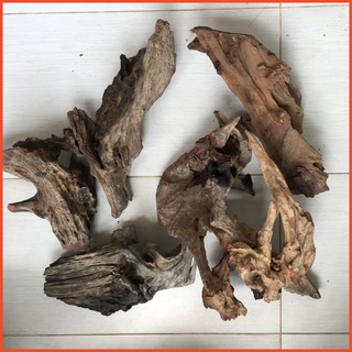 Gỗ lũa thủy sinh, lũa hồ cá, lũa bán cạn, tiểu cảnh cho bể vừa và lớn