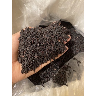 Gạo Lứt Tím Than Túi 5KG Công Ty GẠO NHÀ Độc Quyền Phân Phối