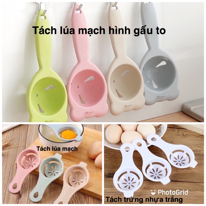 Tách trứng nhựa lúa mạch hình gấu to- tách trứng lúa mạch - tách trứng nhựa trắng