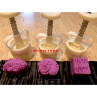 Khuôn lò xo 50gram