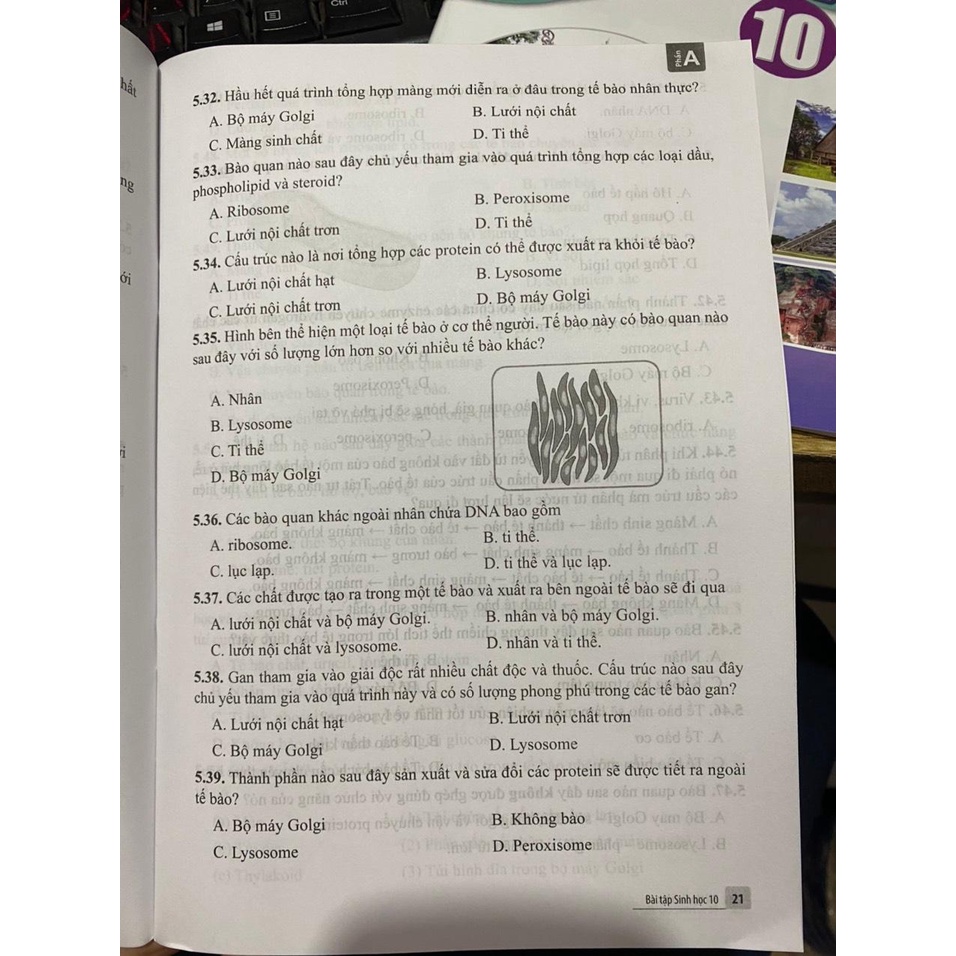 Sách - Bài tập sinh học 10 ( cánh diều ) + bán kèm 1 cuốn tô màu 15k