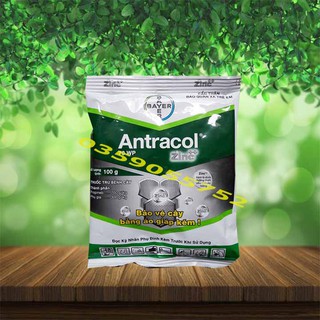 Thuốc trừ nấm bệnh hại cây trồng Antracol 100g