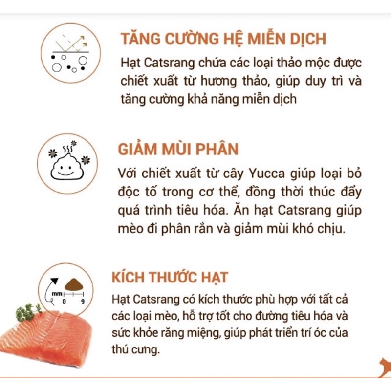 Thức ăn hạt Catsrang Kitten dành cho mèo con 1.5Kg