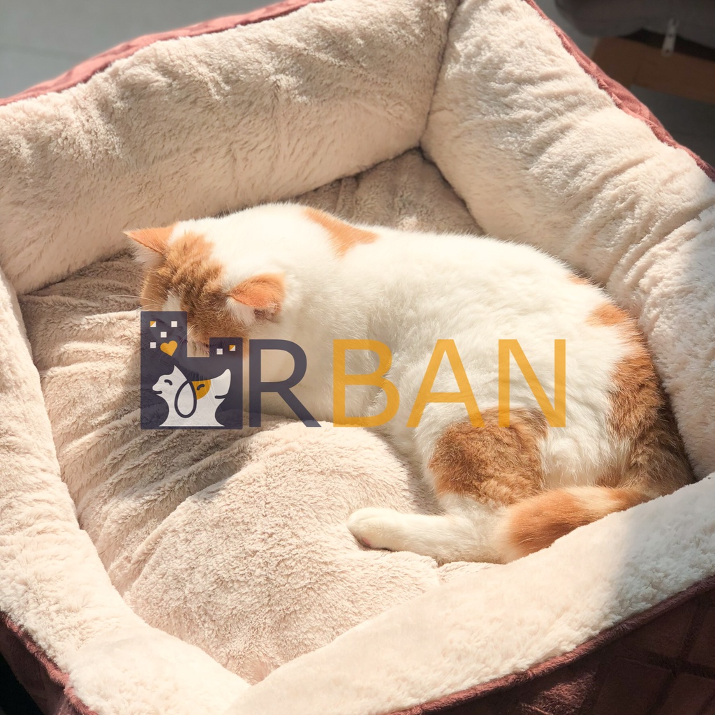 𝗨𝗿𝗯𝗮𝗻_Đệm/ổ nệm bo 4 góc cho thú cưng_Size dưới 10kg