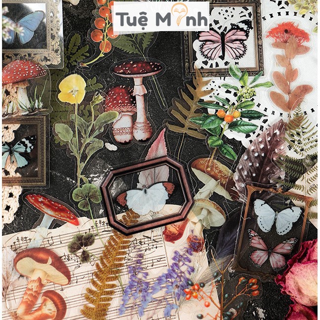 Bộ 40 Sticker hoa lá Cỡ lớn trong suốt - Sticker Vintage hình hoa dán trang trí