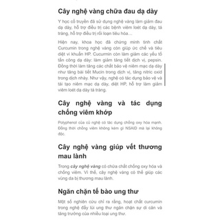 củ nghệ vàng trồng vườn rừng (tặng hom giống dâu tằm ăn trái)