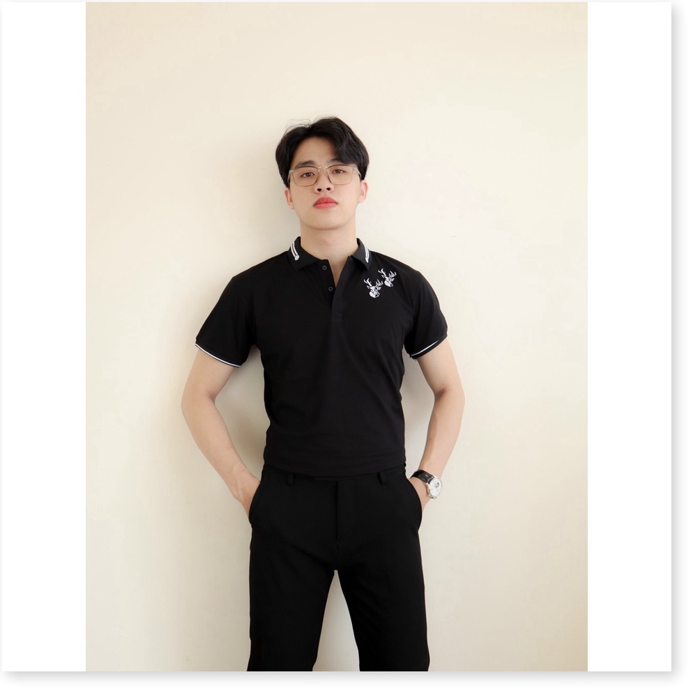 ÁO THUN NAM NGẮN TAY SANG TRỌNG , CHUẨN BODY CHO AE KOKO MI