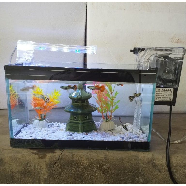 Bể cá mini dài 24 cm với 6 món (bể, sỏi nền, đèn led, lọc thác, phụ kiện sứ nhỏ, 2 cây nhựa mini)