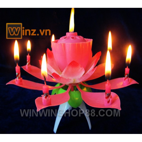 Nến sinh nhật nở hoa và phát nhạc - Muasamhot1208