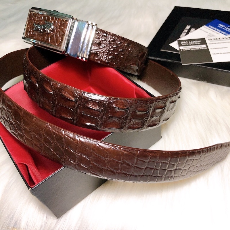Dây thắt lưng da cá sấu thật 100%, 3.3 cm, màu nâu socola, da lưng cá sấu, đầu nịt tự động