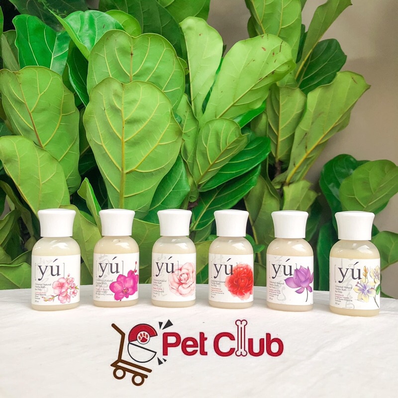 Sữa tắm Yú