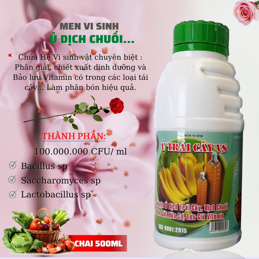 Men Vi Sinh Ủ DỊCH CHUỐI Làm Phân Bón Hữu Cơ Nhanh Tiện Lợi - Chai 500ml