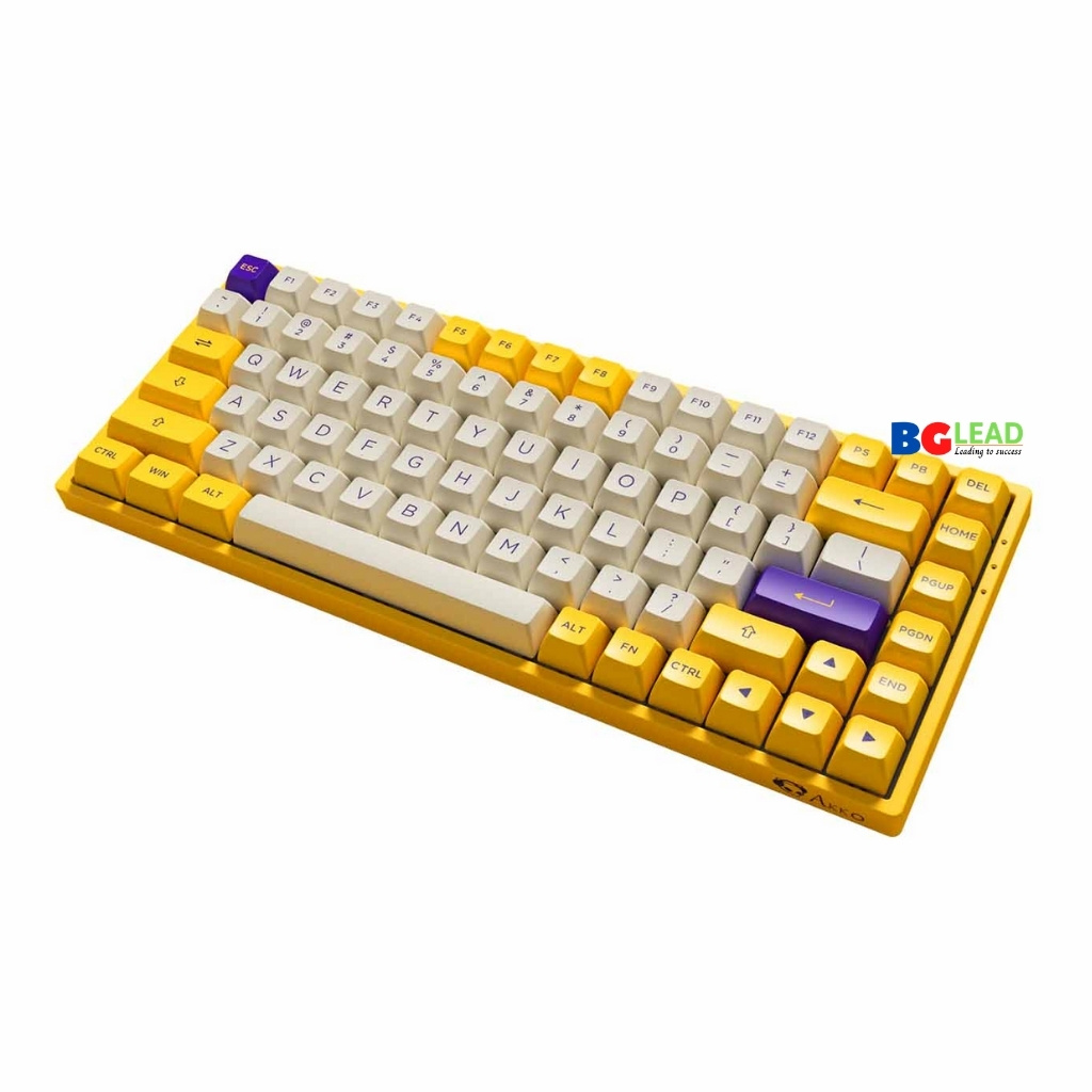 [Chính hãng] Bàn phím cơ AKKO 3084|3098 v2 ASA - Los Angeles (AKKO CS switch|Hotswap|Foam tiêu âm) - Mai Hoàng phân phối